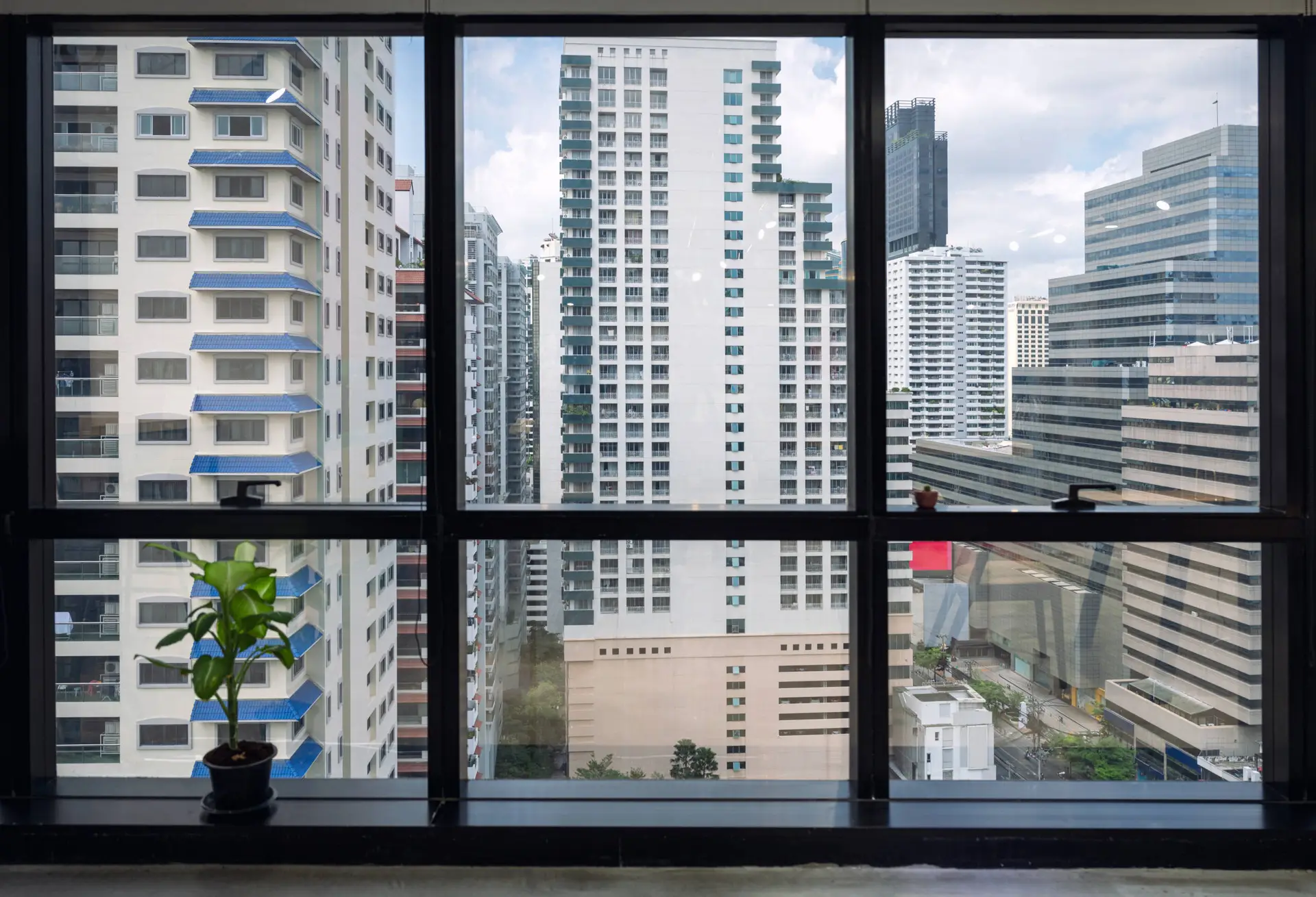 Impact Windows